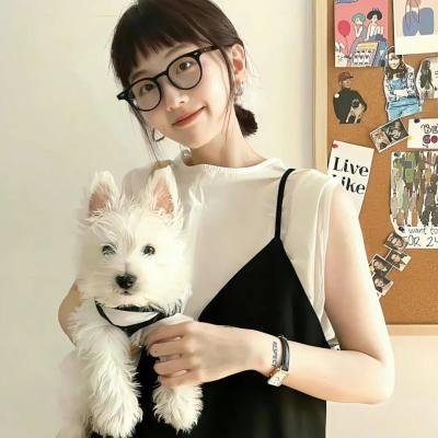 囧妈的极地任务